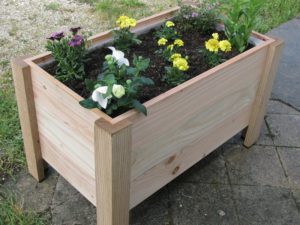 Jardinière en gabion