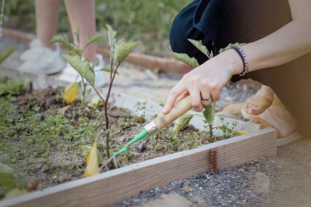 Les meilleurs accessoires de jardinage pour booster votre jardin