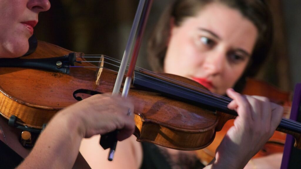 Le parfait équipement du violoniste