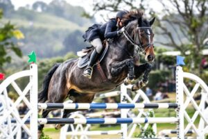 L’équitation : sport le plus dangereux ou passion mal comprise ?