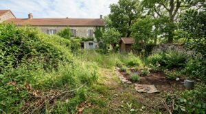 Jardin laissé à l’abandon